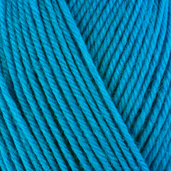 Blue Jay 3332, a bright blue skein of washable worsted weight Ultra Wool yarn.