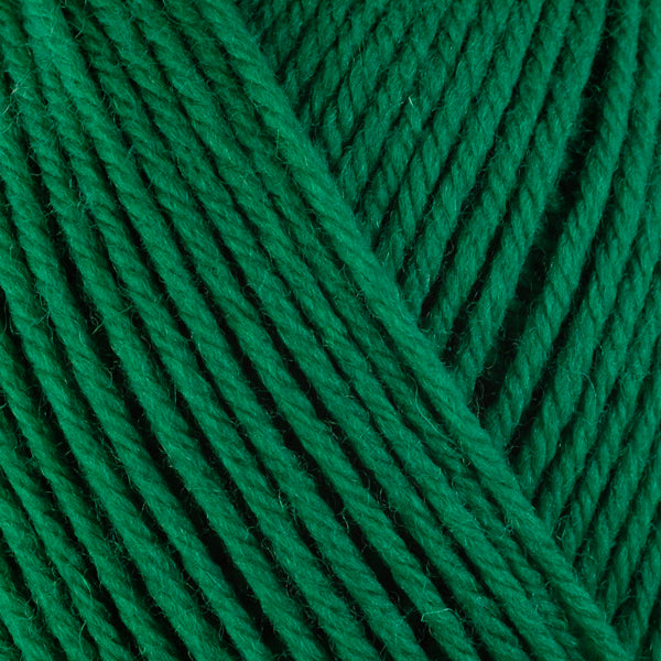 Holly 3335, a Christmas green skein of washable worsted weight Ultra Wool yarn.