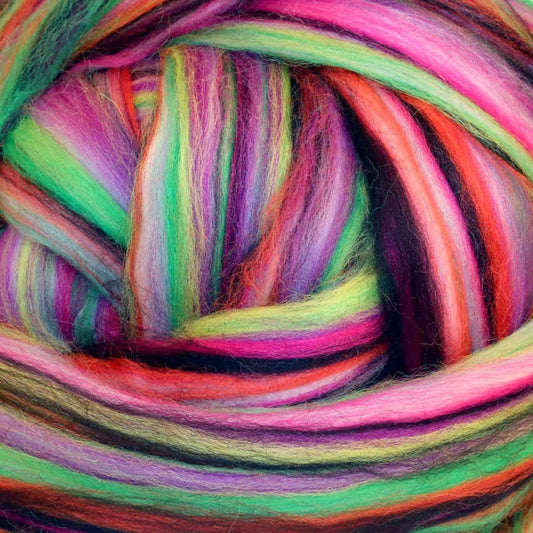 Paradise Fibers Multi Colored Corriedale Wool Top - Trick or Treat - Paradise Fibers