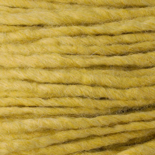 Color Snowy Owl Eyes 6744, a yellow shade of Berroco Macro Jumbo yarn