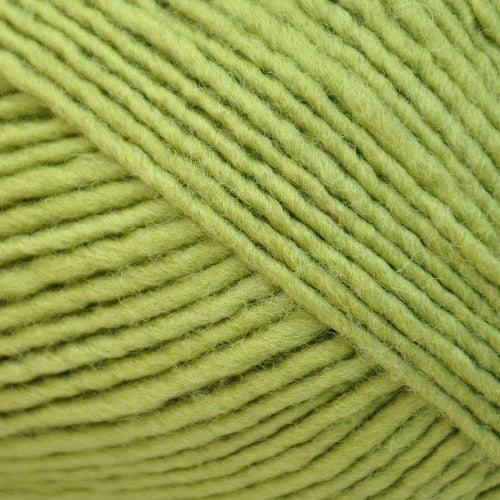 Brown Sheep Lanaloft Bulky in Twist of Lime - a light green colorway