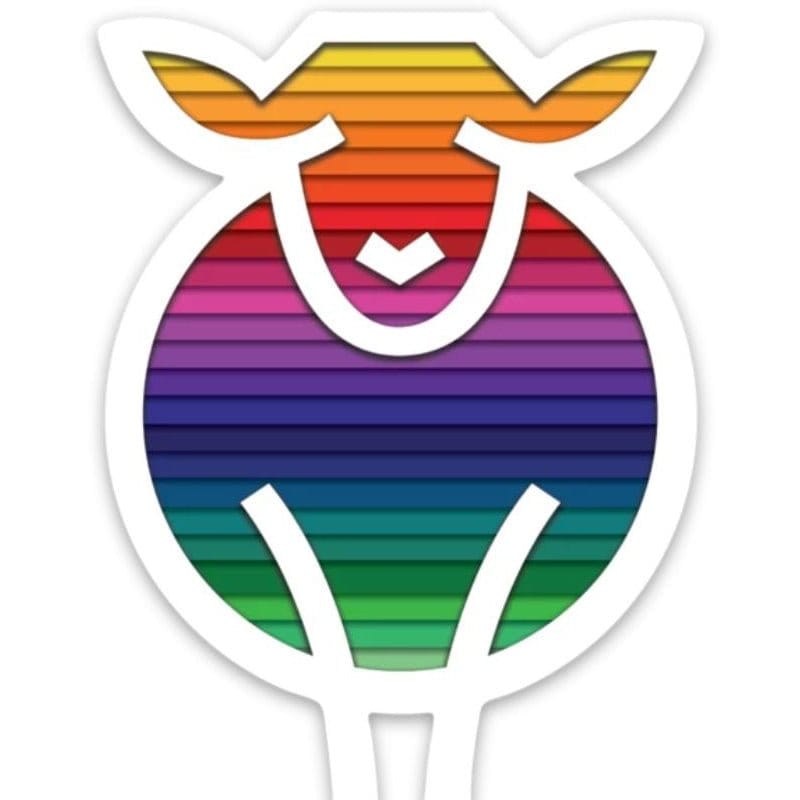 Rainbow Notions Set - Paradise Fibers