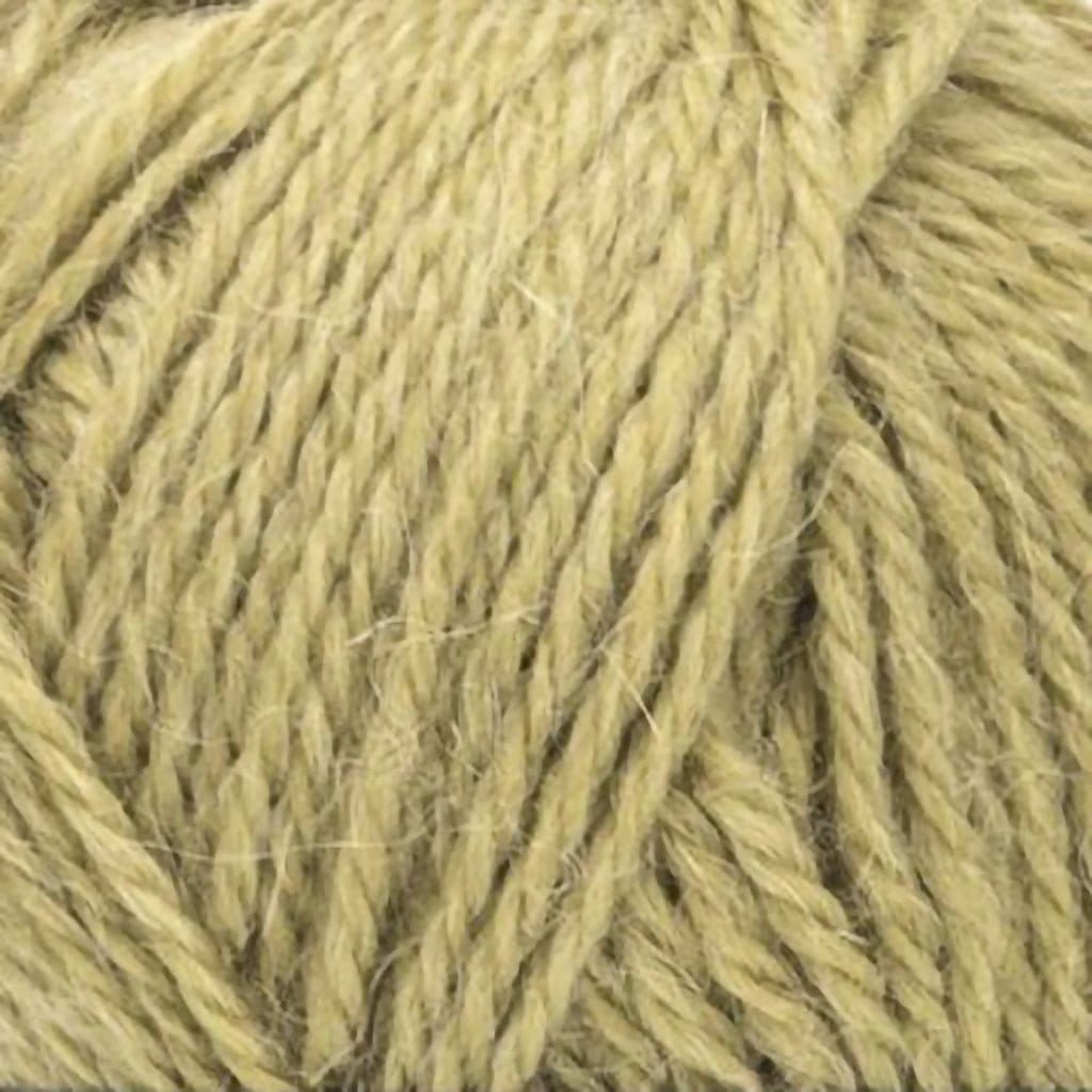 The World's Simplest Mittens DK Kit - Paradise Fibers