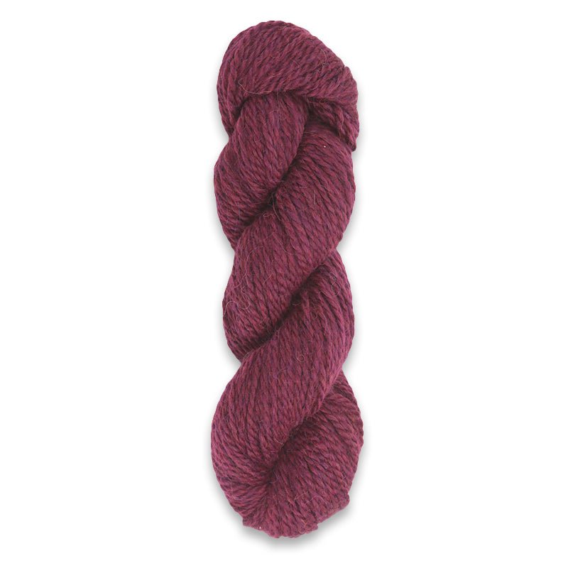 The World's Simplest Mittens Kit in Plymouth Yarns - Paradise Fibers