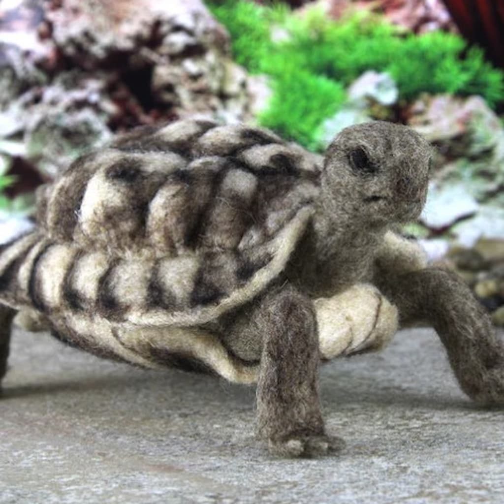 Toto the Tortoise Needle Felting Kit - Paradise Fibers