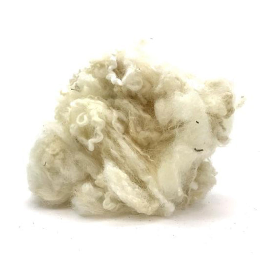 White undyed british longwool curly locks