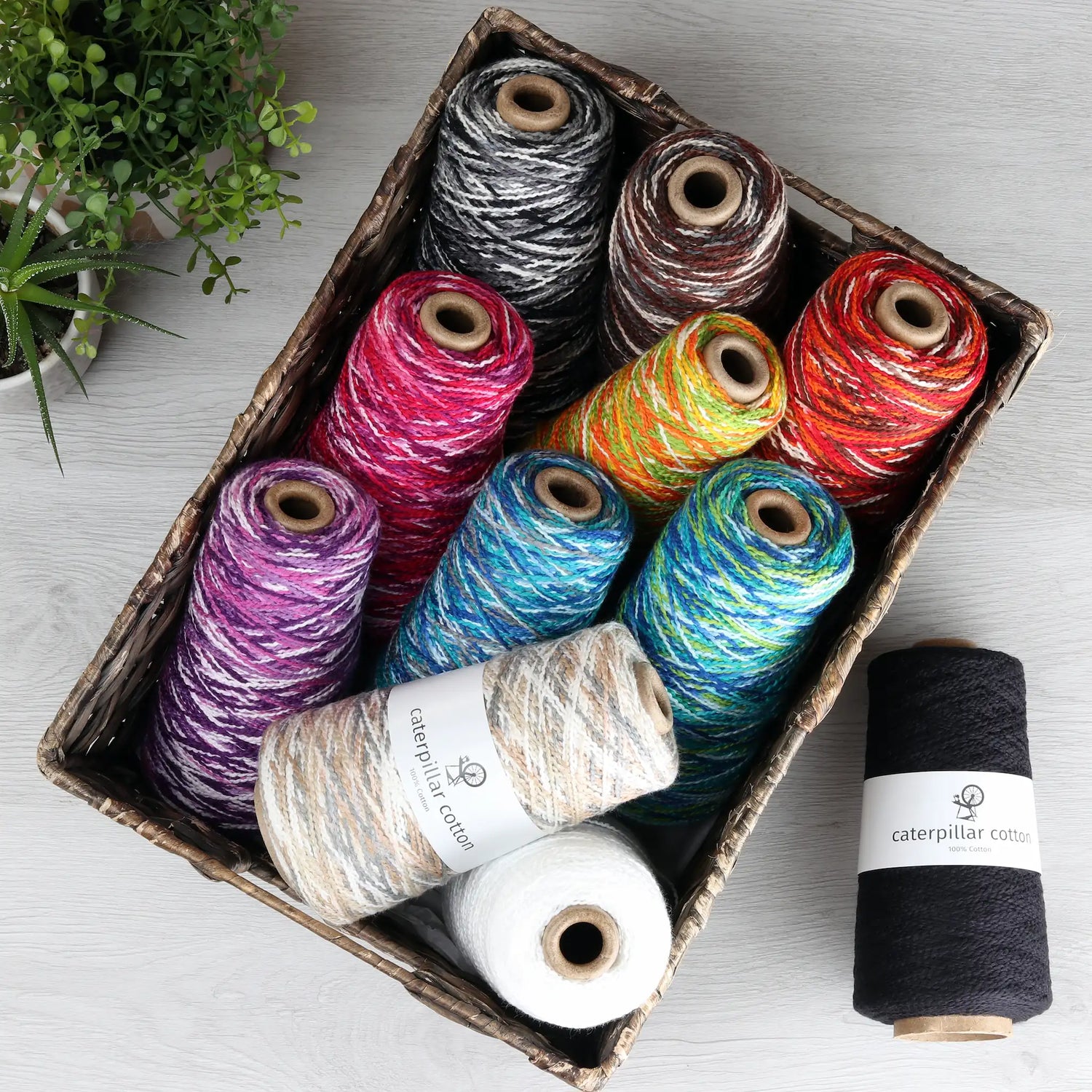 Ashford Yarn