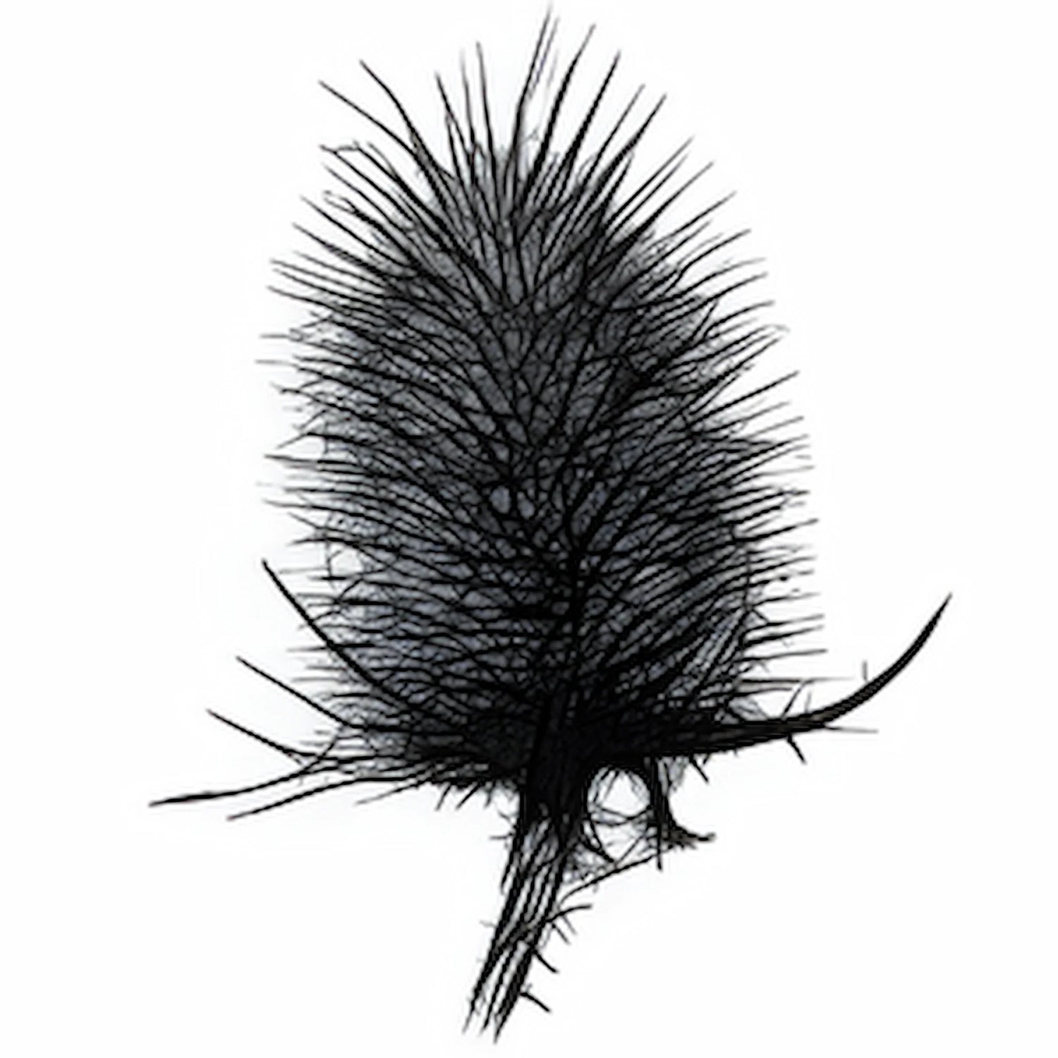 Round Mountain Fibers Teasel Logo