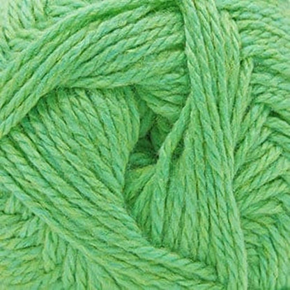 Cascade Cherub Aran Yarn color 125 Meadow Heather