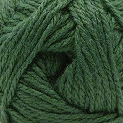 Cascade Cherub Aran Yarn color 130 Ivy Heather