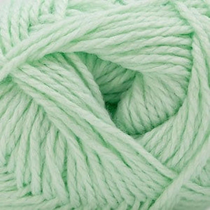 Cascade Cherub Aran Yarn color 134 Misty Jade