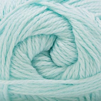 Cascade Cherub Aran Yarn color 135 Mint Julep