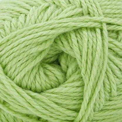 Cascade Cherub Aran Yarn color 136 Opaline Green