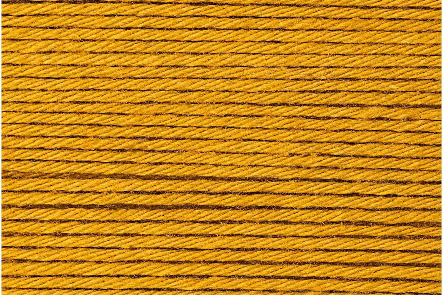 064 Mustard