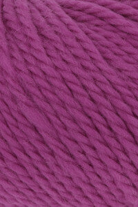 Wool Addicts Glory Yarn