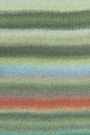 0020 Dark Green/Olive/Light Blue/Red