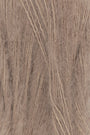 0039 Camel