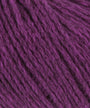 0066 Fuchsia