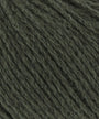 0098 Dark Olive
