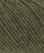 0099 Olive