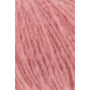 0028 Salmon