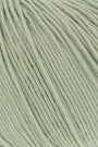 0091 Pastel Green