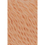 0027 Apricot
