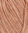 0027 Apricot