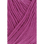 0064 Fuchsia 1
