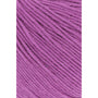 0066 Fuchsia 2