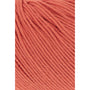 0161 Tomato