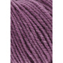 0066 Berry