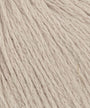0039 Camel