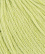 0044 Lime