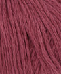 0066 Raspberry