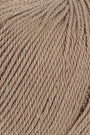 0039 Camel