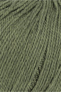 0098 Dark Olive