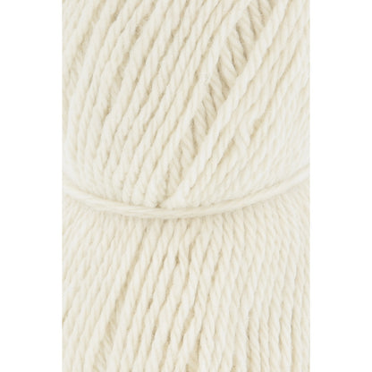 Lang Donegal Woolen Spun Yarn