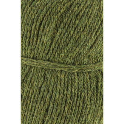 Lang Donegal Woolen Spun Yarn