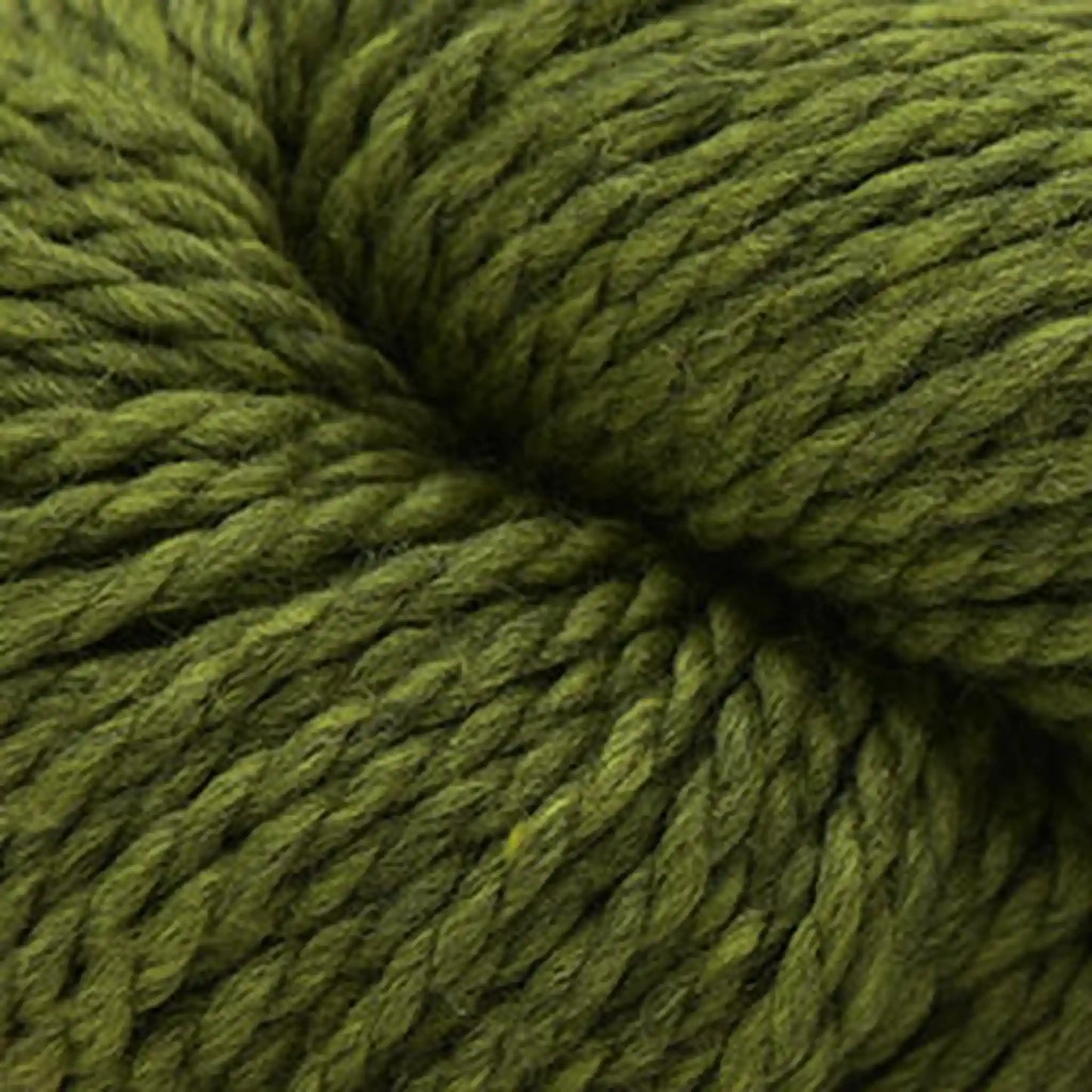 Cascade 128 Superwash Bulky Yarn color 1919 Turtle