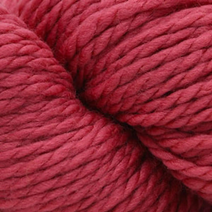 Cascade 128 Superwash Bulky Yarn color 300 Holly Berry