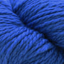 307 Bright Cobalt