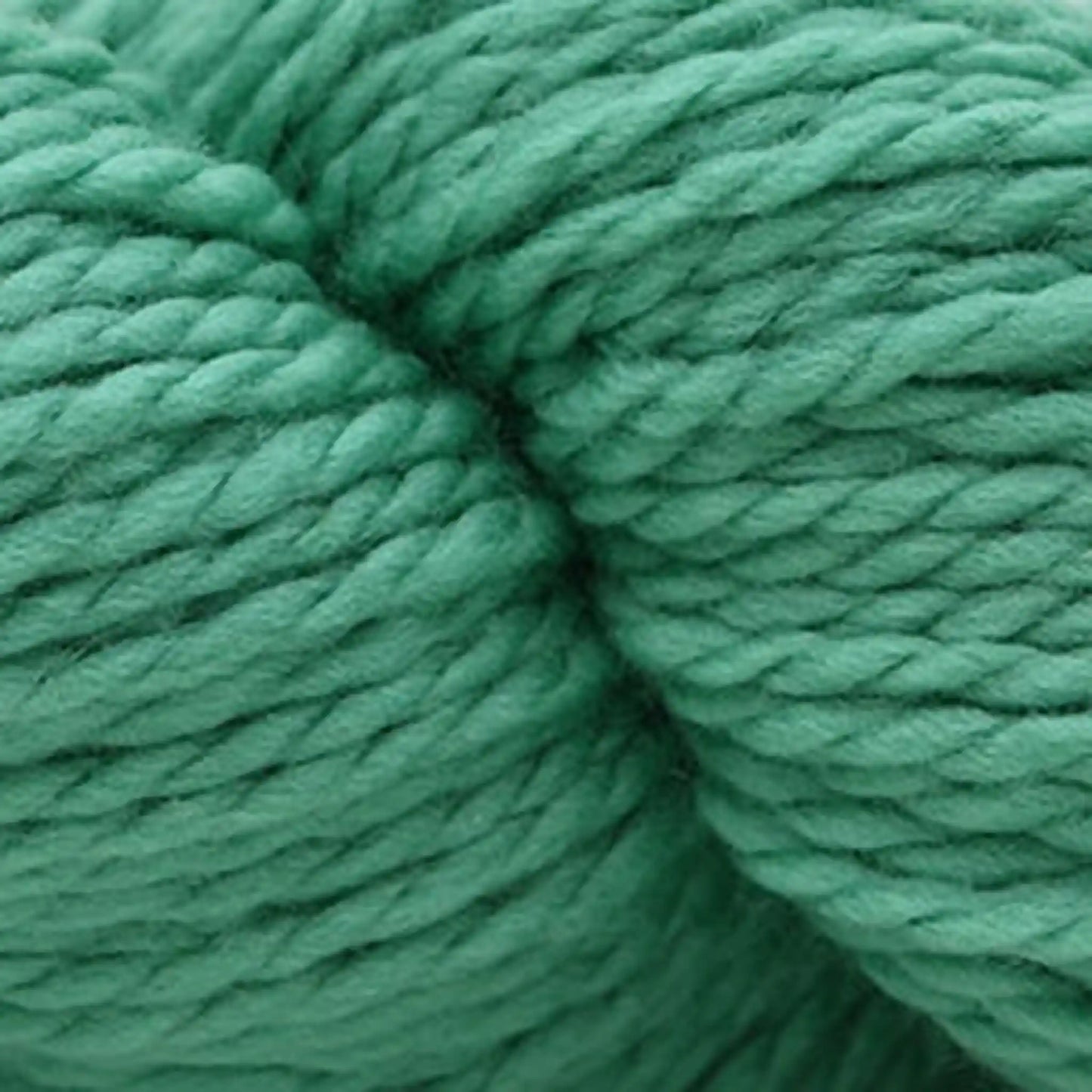 Cascade 128 Superwash Bulky Yarn color 309 Granite Green