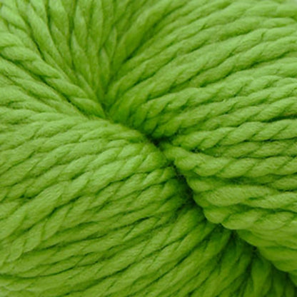 Cascade 128 Superwash Bulky Yarn color 802 Green Apple