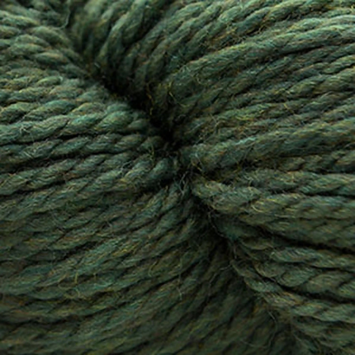 Cascade 128 Superwash Bulky Yarn color 867 Lichen
