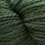 867 Lichen