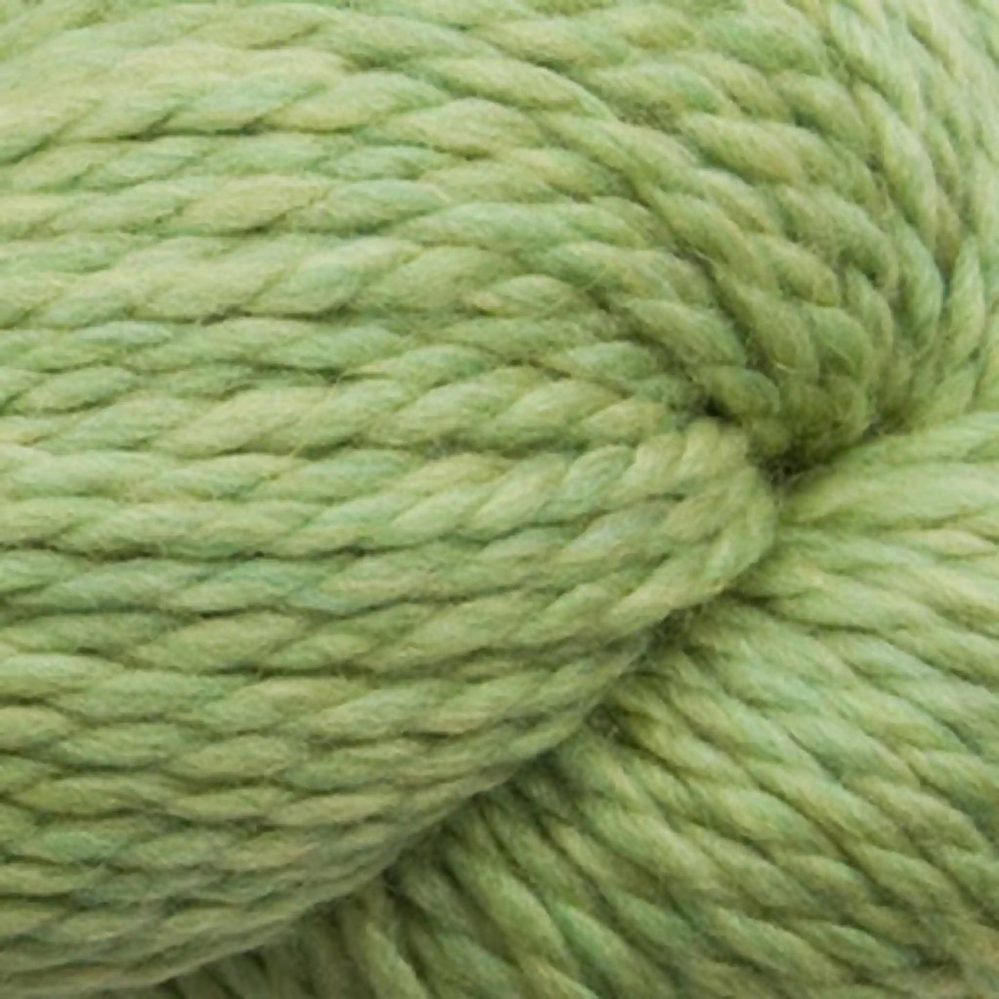 Cascade 128 Superwash Bulky Yarn color 905 Celery