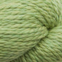 905 Celery