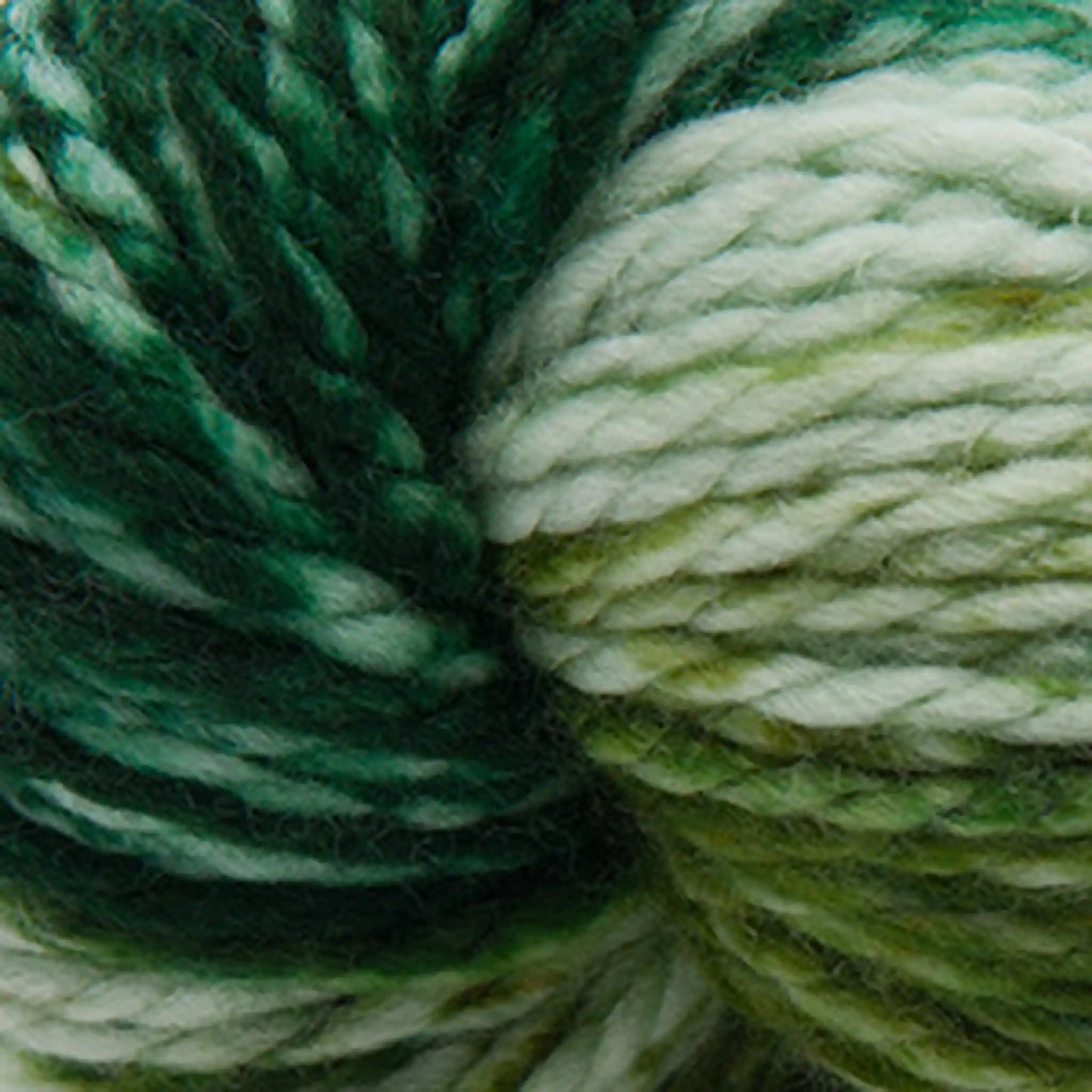 Cascade 128 Superwash Hand Paints Bulky Yarn color 708 Glade