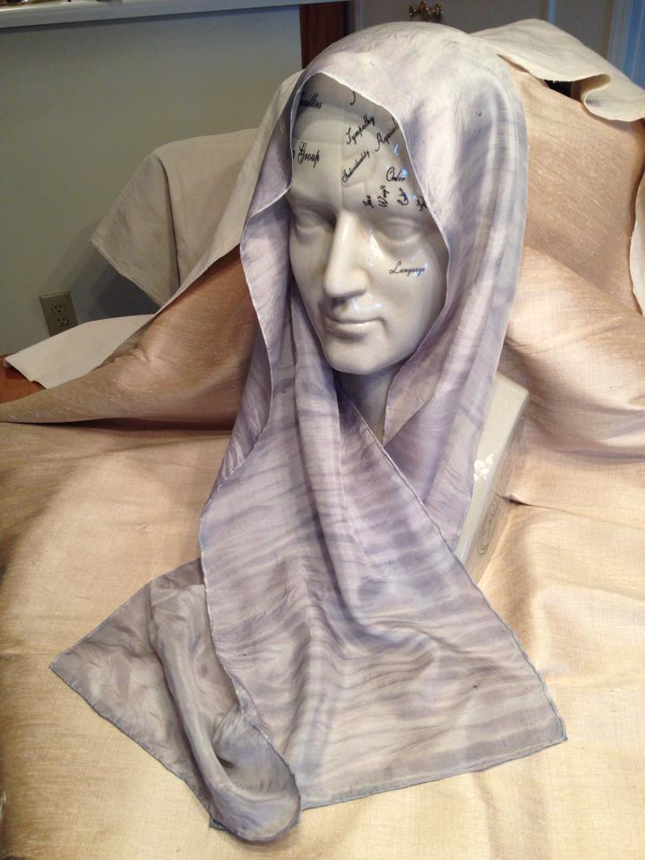 Natural Dyeing Class with Justin | Cochineal and Logwood Purple